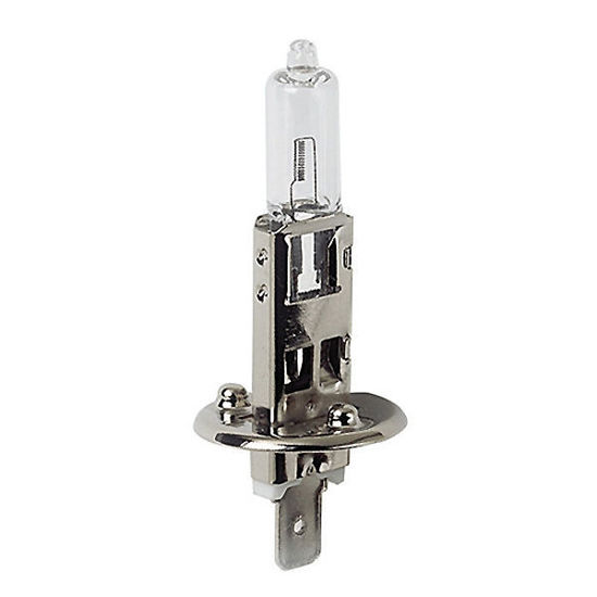 Picture of H1 12V 55W